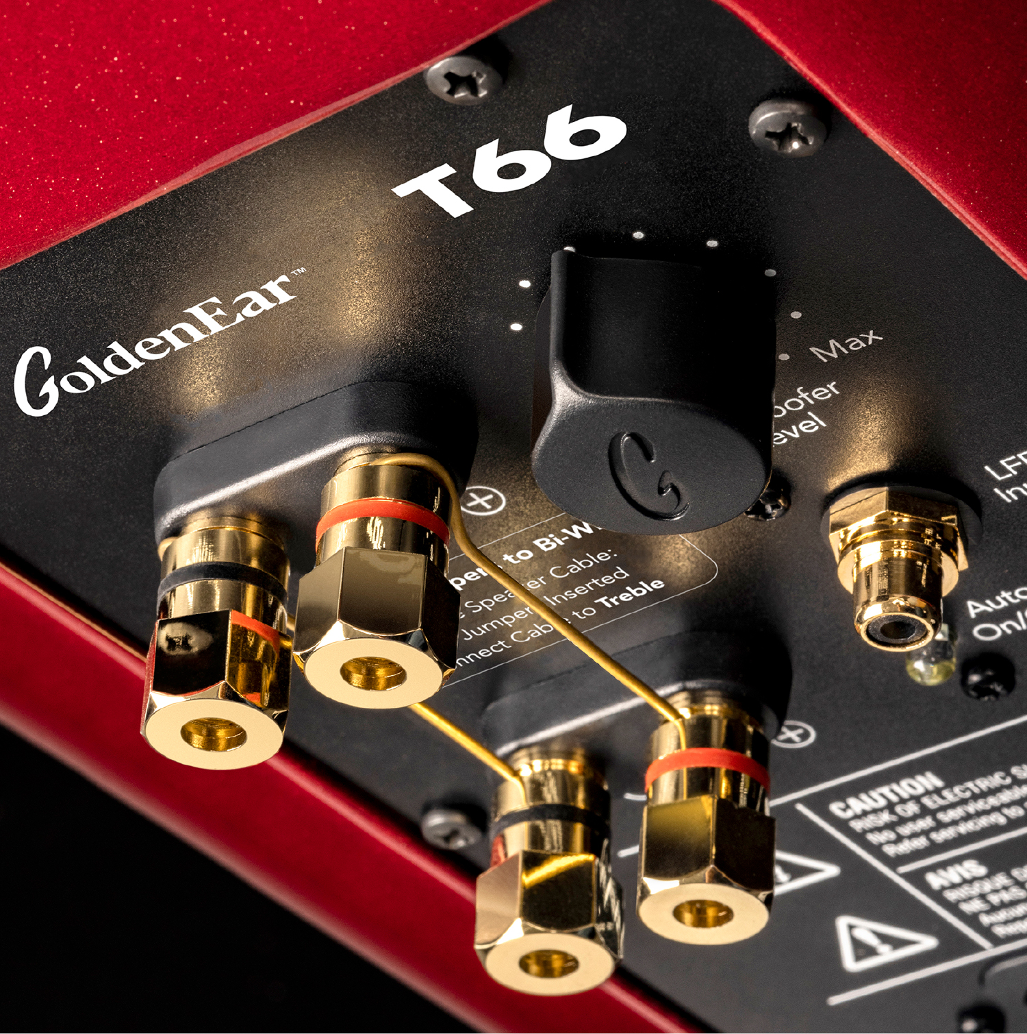 GoldenEar T66 rear